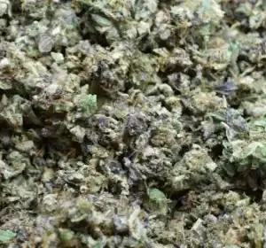 GELATO SHAKE