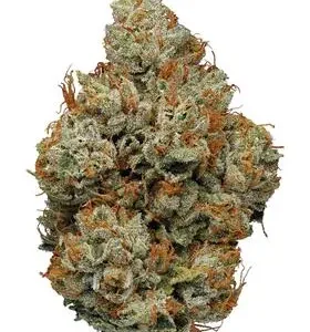SUPER OG 5G $100