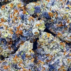 BLUE GELATTI FERRARI: 39.34%