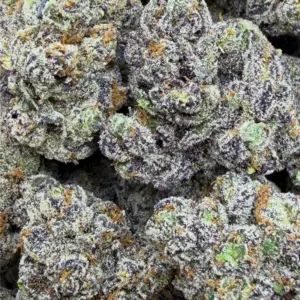 CHERRY BODEGA: 39%