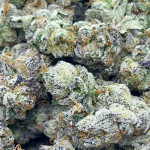 POP ROXS: 39.10%