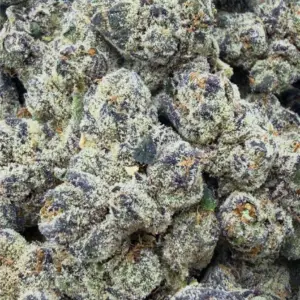 PURPLE MONKEY BALLS: 35.29%