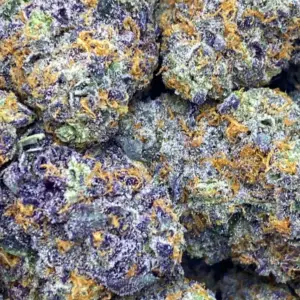 BISCOTTI X GELATO #41: 37.62%