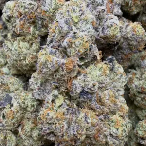 THINMINT COOKEIS X CHEM DAWG: 39.04%