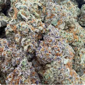 TUSCAN GELATO 33.28%