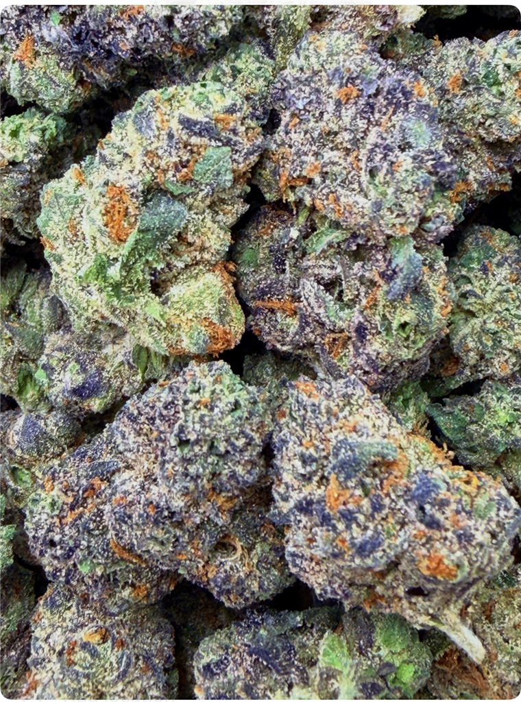 GLITTER BOMB C BUDS: 30.16%