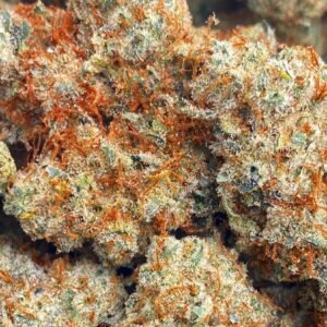 NORTHERN LIGHTS X FIRE OG: 37%