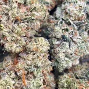 SKY WALKER KUSH: 40.27%