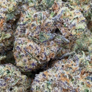 TROPICAL WRECK: 32.45%