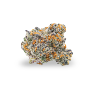 Z- QUEEN: 34.17%