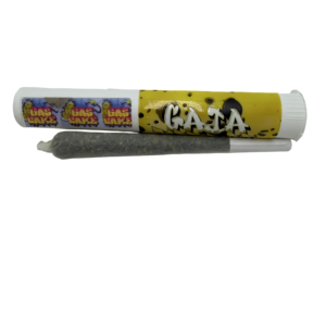 GAS CAKE: 24.58%
