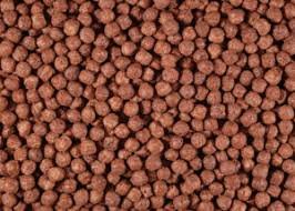 CHOCOLATE DOOBIE DOTS 1000MG