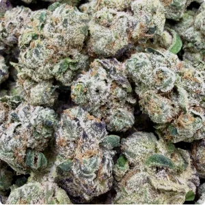 BLUE NERDS: 31.35%
