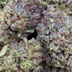 JELLY DONUT: 27.34%
