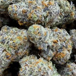 CHOCOLATE FROSTED SHERB: 38.89%