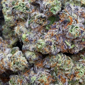 WILD STRAWBERRY GELATO #41: 36.52%