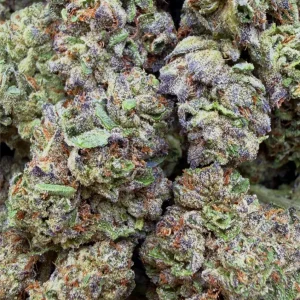 ICE CREAM SUNDAE: 27.34%
